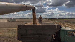 Ukraina pozwie Polskę, Węgry i Słowację za zakaz importu zbóż ...