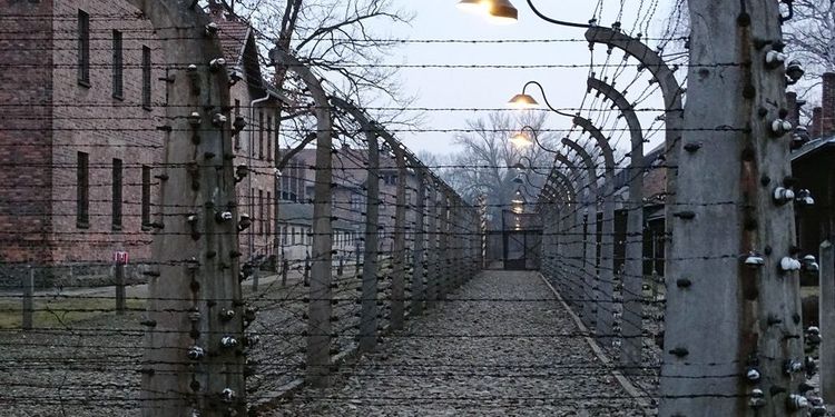 Spot PiS Auschwitz