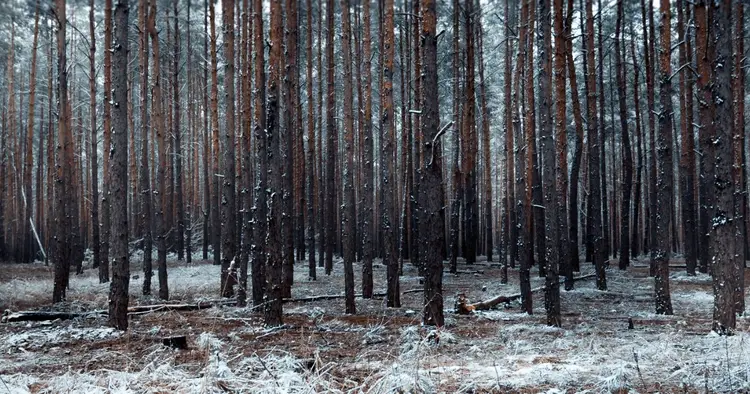 Śnieg i dwucyfrowy mróz